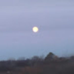 Meet your Posher, Lilly